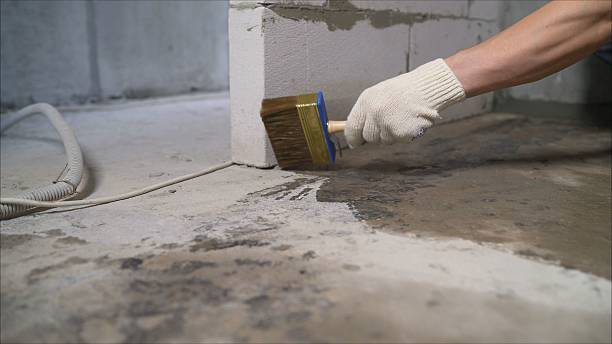 SJ Waterproofing Pros Waterproofing coverage map for Newport, SC and surrounding area